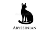 Abyssinian Kittens